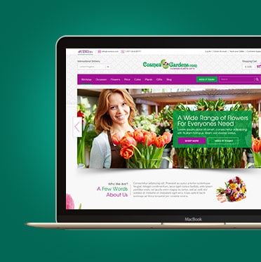 website design