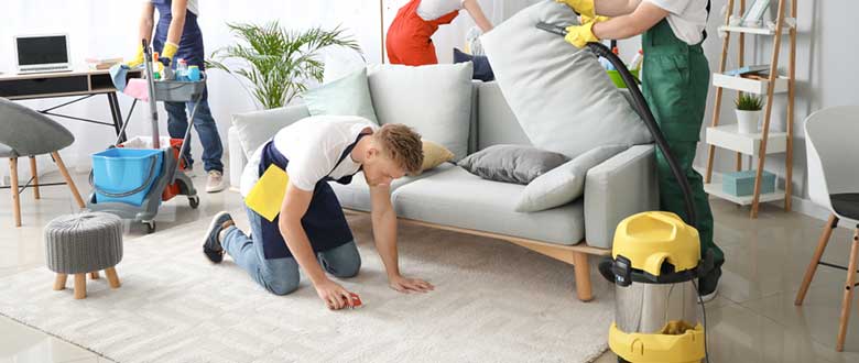 SEO for Carpet Cleaners and Manufacturers