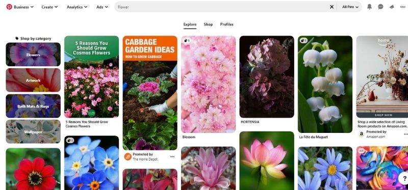Pinterest Visual Search Tool